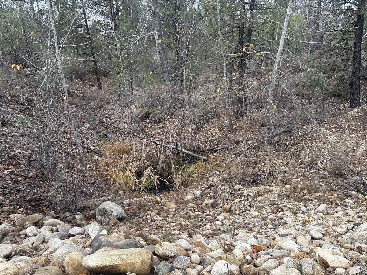 Lily Loop, Idaho City, Idaho 83631, Land For Sale, Price $70,000,MLS 98948072