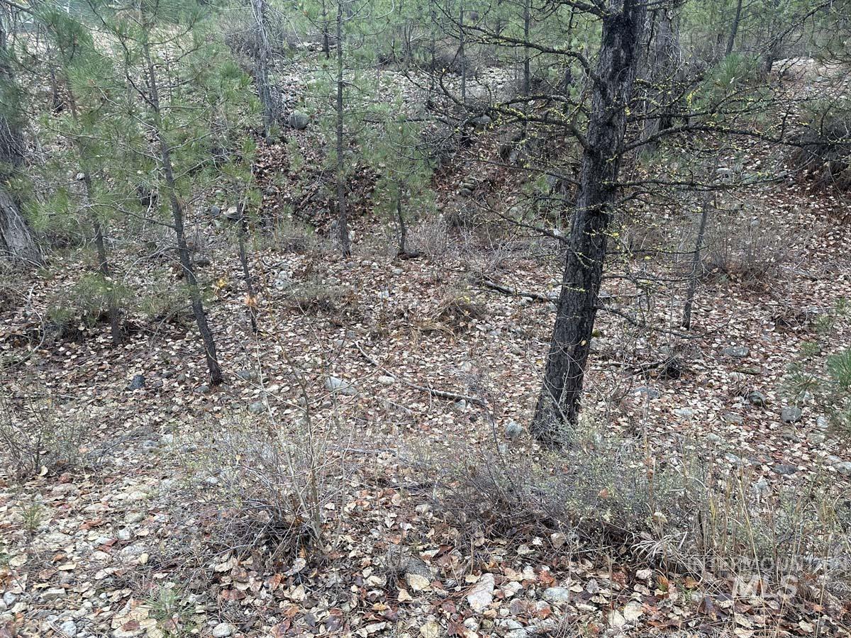 Lily Loop, Idaho City, Idaho 83631, Land For Sale, Price $70,000,MLS 98948072