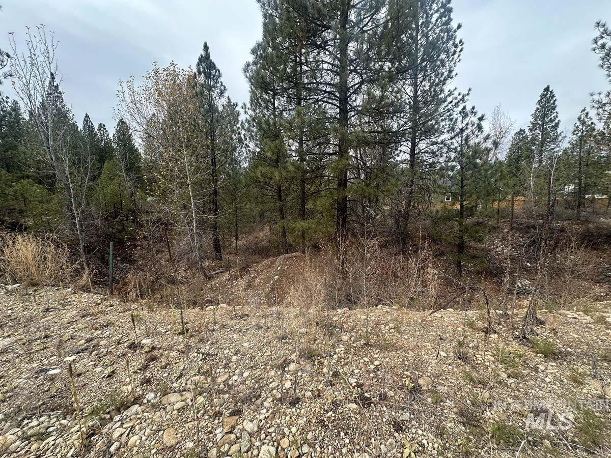 Lily Loop, Idaho City, Idaho 83631, Land For Sale, Price $70,000,MLS 98948072
