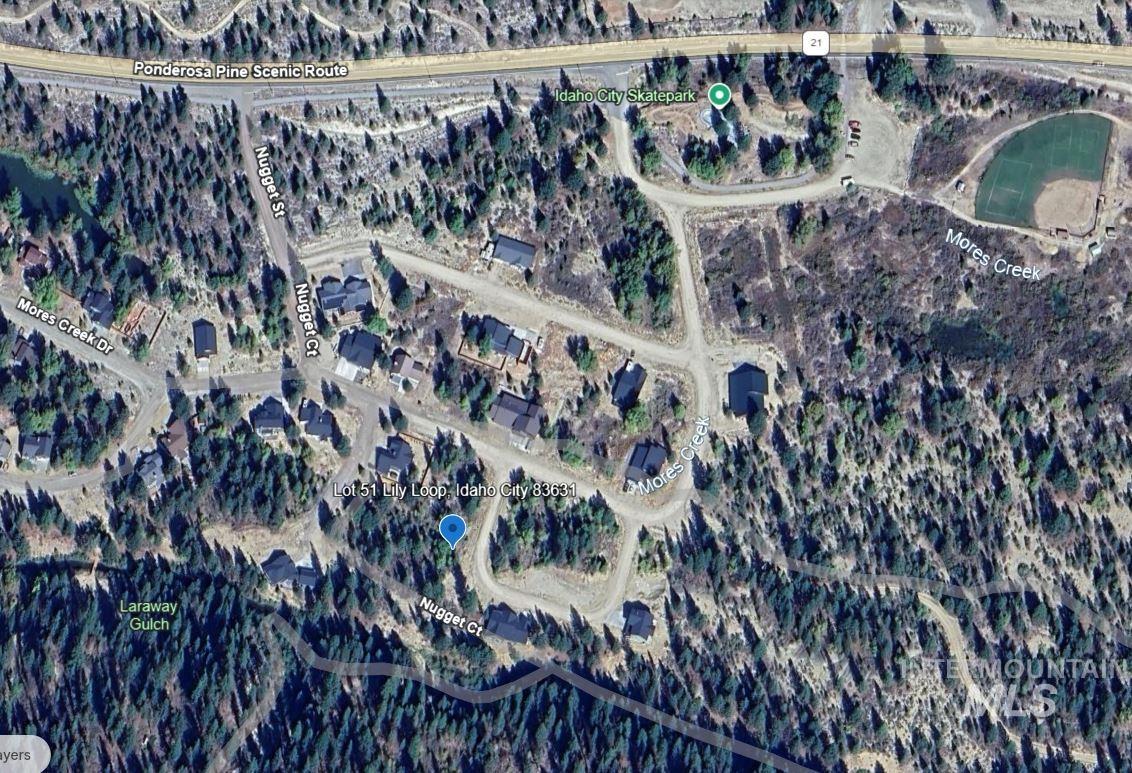 Lily Loop, Idaho City, Idaho 83631, Land For Sale, Price $70,000,MLS 98948072