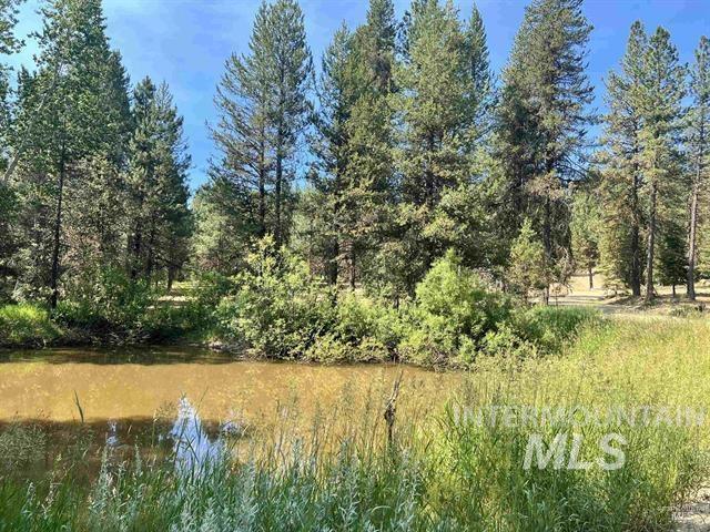 Lot 2/3 Timber Haven Pl, Cascade, Idaho 83611, Land For Sale, Price $299,000,MLS 98948101