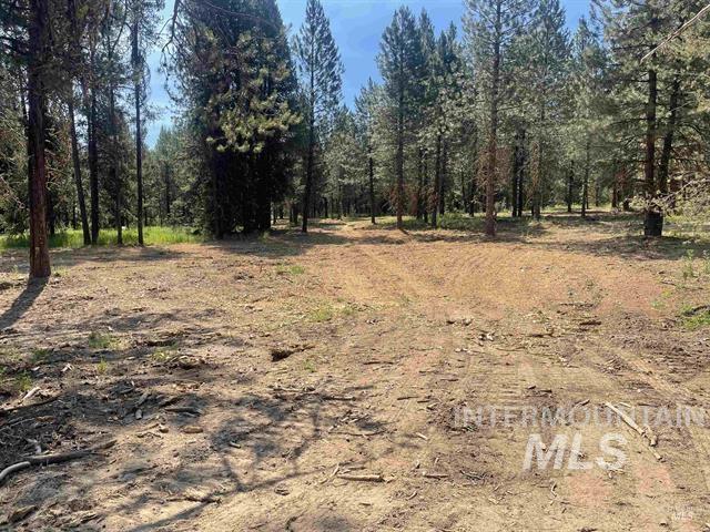 Lot 2/3 Timber Haven Pl, Cascade, Idaho 83611, Land For Sale, Price $299,000,MLS 98948101