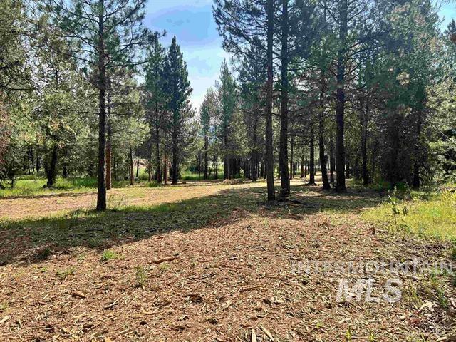 Lot 2/3 Timber Haven Pl, Cascade, Idaho 83611, Land For Sale, Price $299,000,MLS 98948101