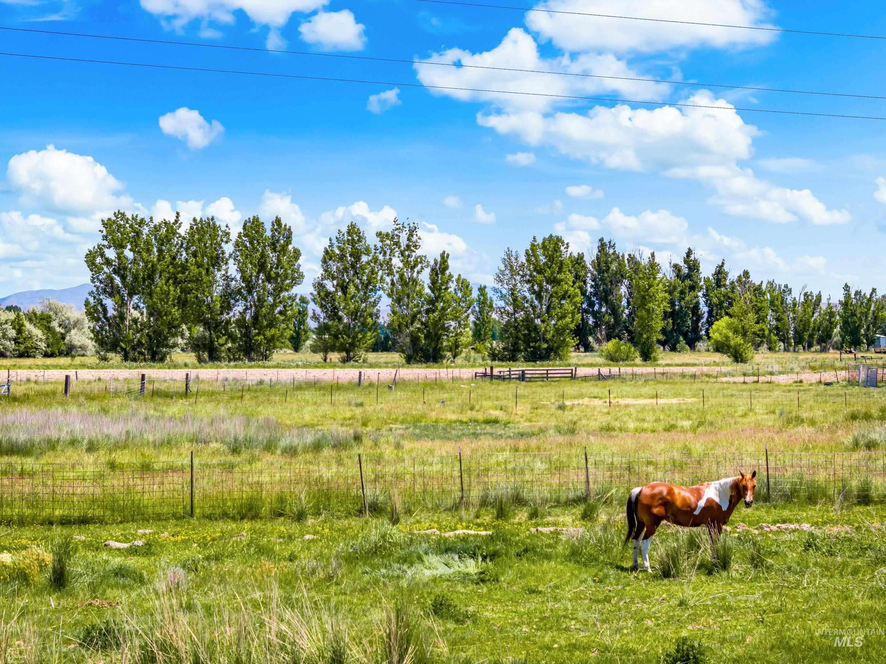 1415 Morehouse, Emmett, Idaho 83617, 3 Bedrooms, 2 Bathrooms, Residential For Sale, Price $845,800,MLS 98948107