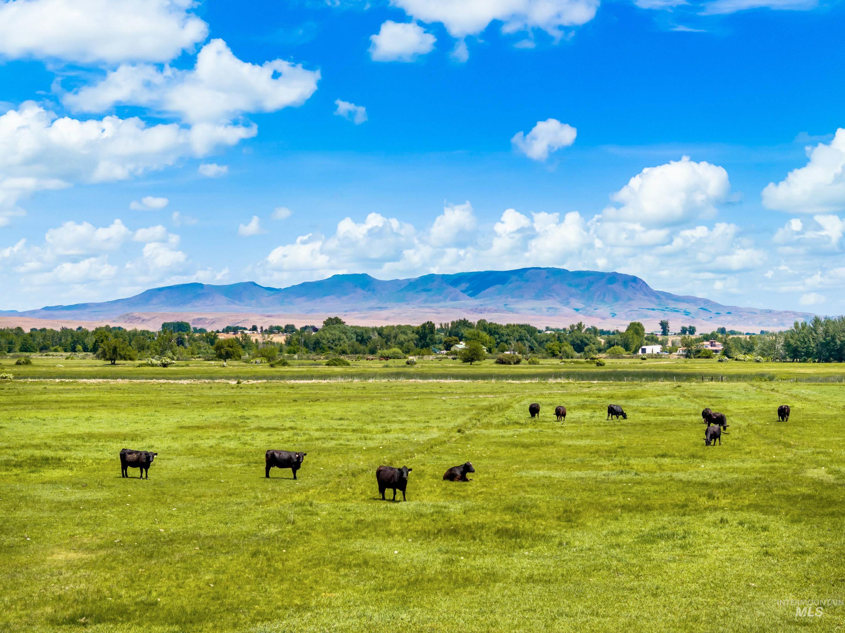 1415 Morehouse, Emmett, Idaho 83617, 3 Bedrooms, 2 Bathrooms, Residential For Sale, Price $845,800,MLS 98948107