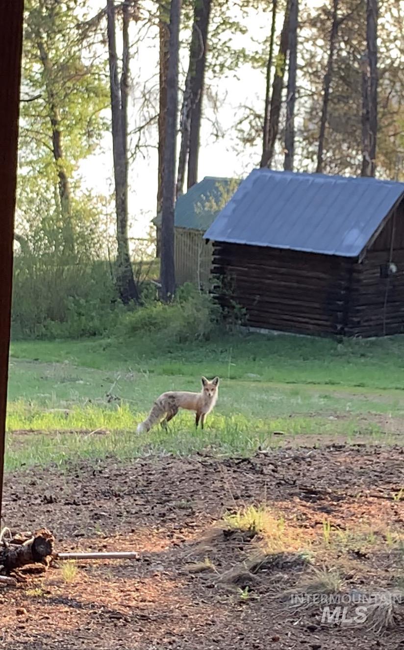 136 Paradise Lane, Donnelly, Idaho 83615, 3 Bedrooms, 2 Bathrooms, Residential For Sale, Price $925,000,MLS 98948134