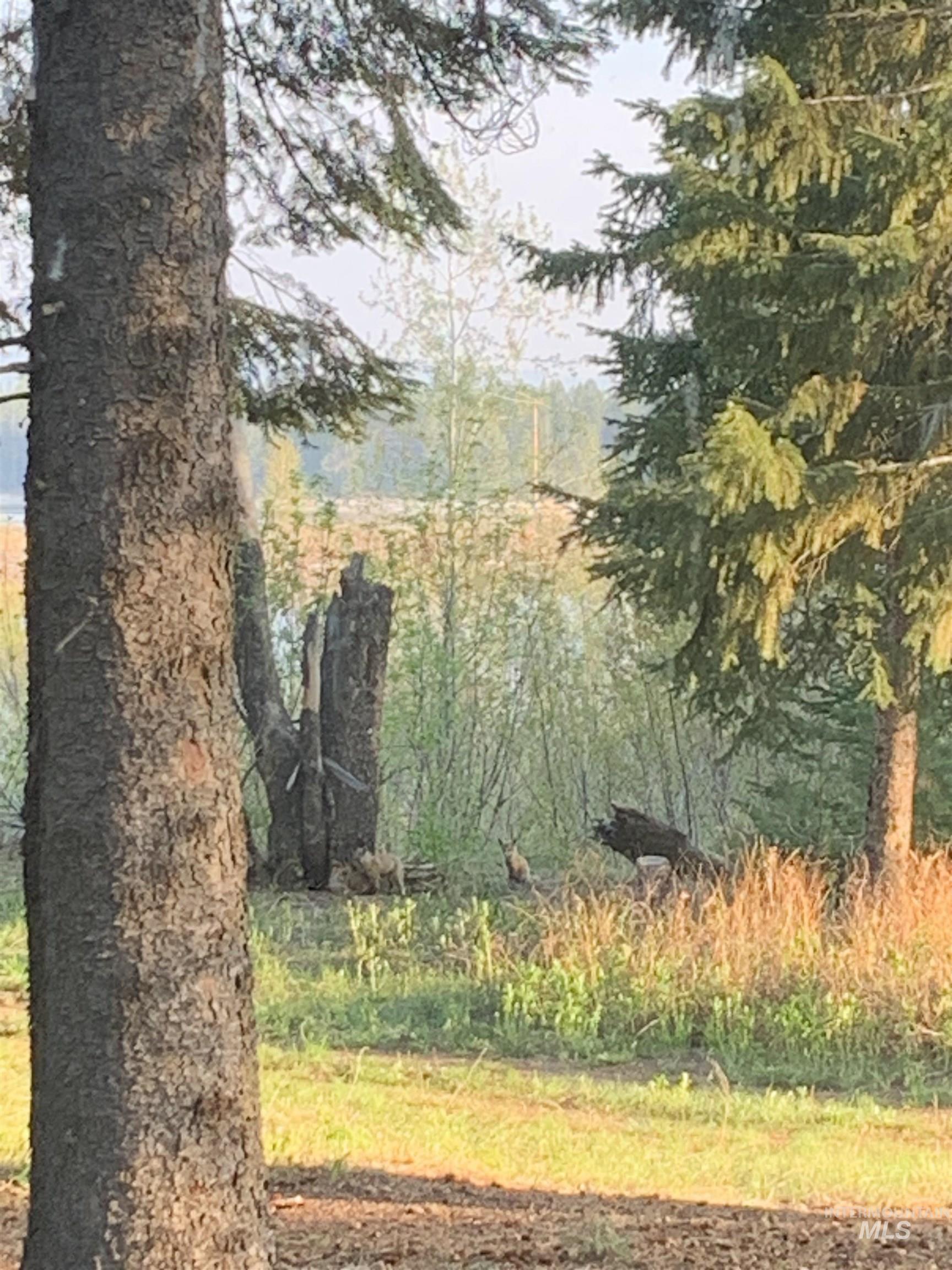 136 Paradise Lane, Donnelly, Idaho 83615, 3 Bedrooms, 2 Bathrooms, Residential For Sale, Price $925,000,MLS 98948134