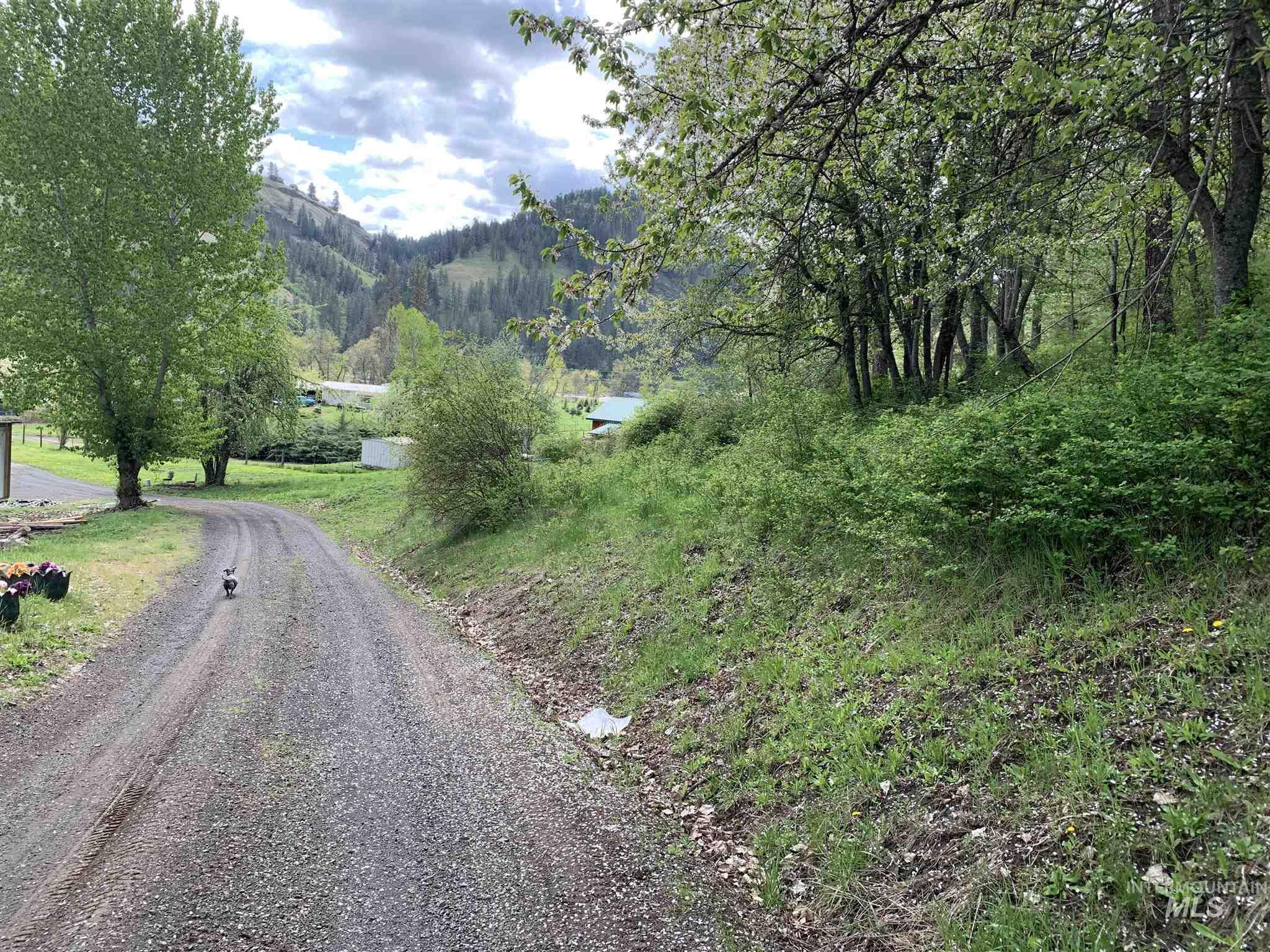 120 Three Bear Lane, Stites, Idaho 83552, 3 Bedrooms, 2 Bathrooms, Residential For Sale, Price $600,000,MLS 98948150