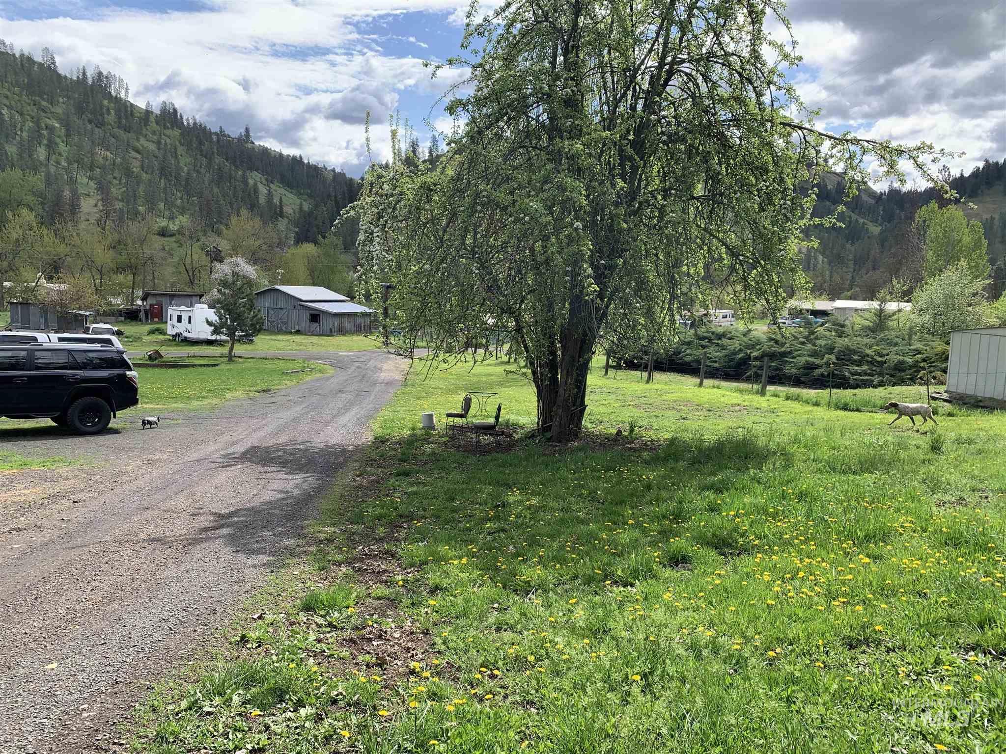120 Three Bear Lane, Stites, Idaho 83552, 3 Bedrooms, 2 Bathrooms, Residential For Sale, Price $600,000,MLS 98948150
