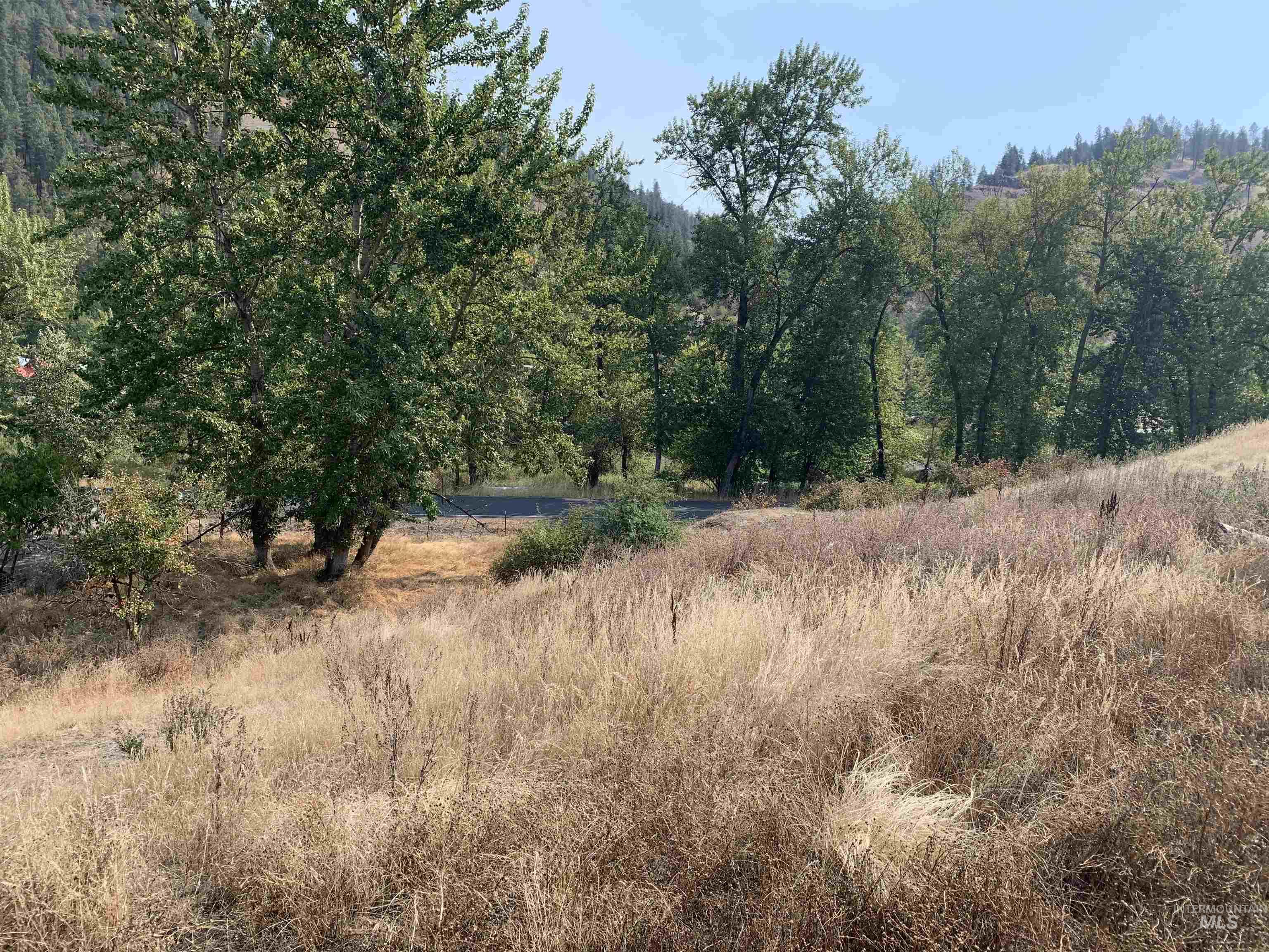 120 Three Bear Lane, Stites, Idaho 83552, 3 Bedrooms, 2 Bathrooms, Residential For Sale, Price $600,000,MLS 98948150