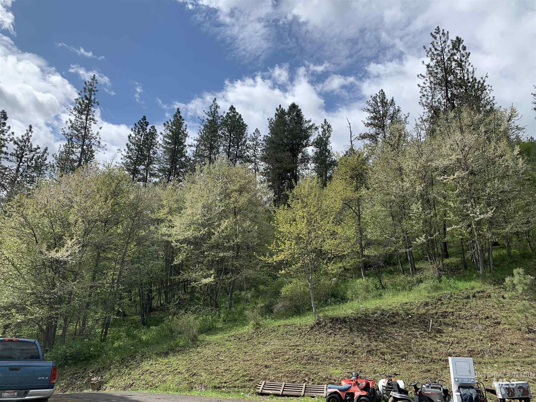 120 Three Bear Lane, Stites, Idaho 83552, 3 Bedrooms, 2 Bathrooms, Residential For Sale, Price $600,000,MLS 98948150