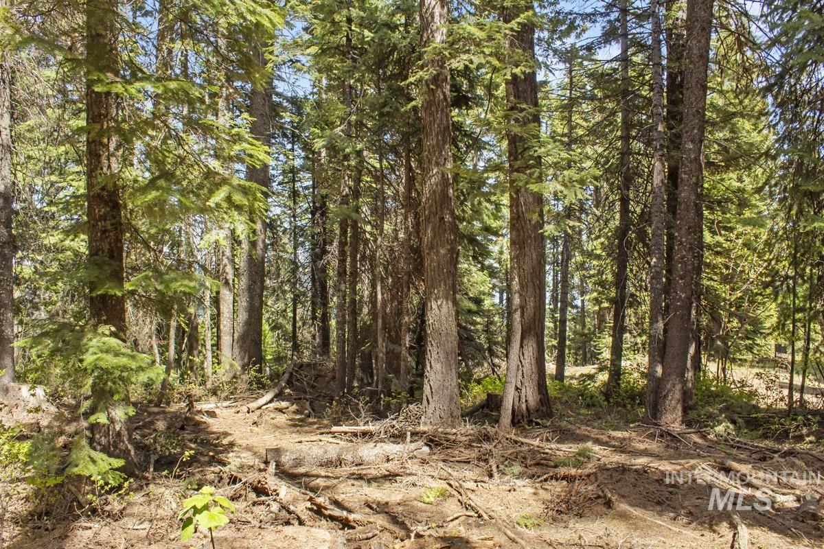 80 Arling Trail, Donnelly, Idaho 83615, Land For Sale, Price $150,000,MLS 98948258