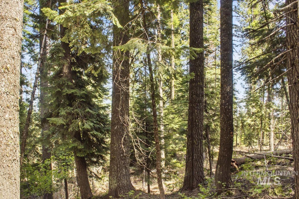 80 Arling Trail, Donnelly, Idaho 83615, Land For Sale, Price $150,000,MLS 98948258