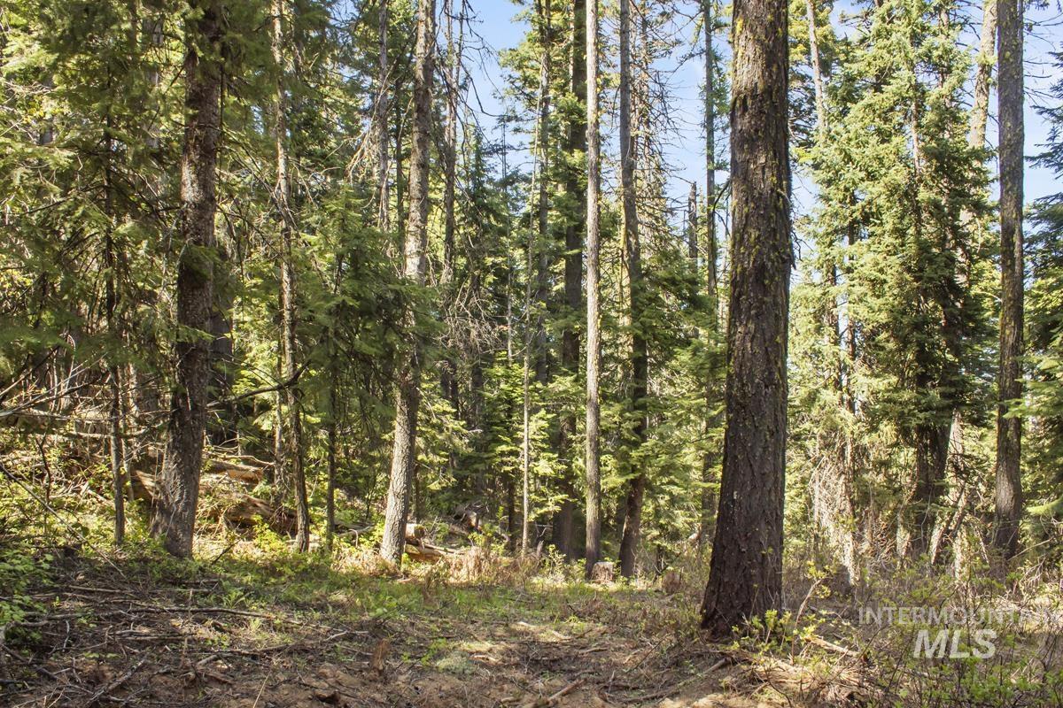 80 Arling Trail, Donnelly, Idaho 83615, Land For Sale, Price $150,000,MLS 98948258