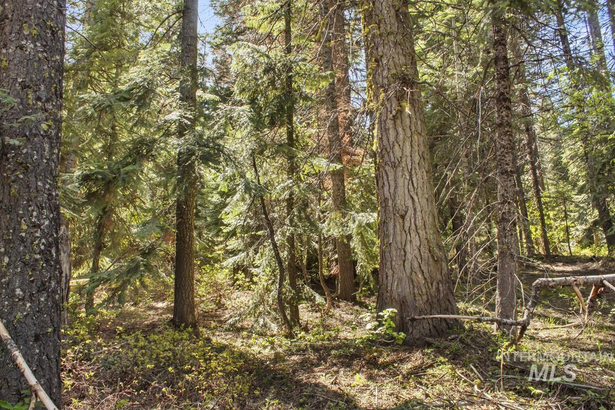 80 Arling Trail, Donnelly, Idaho 83615, Land For Sale, Price $150,000,MLS 98948258