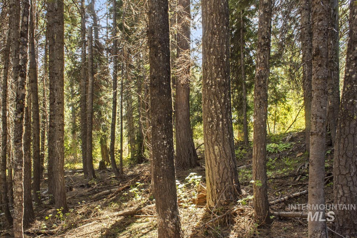 80 Arling Trail, Donnelly, Idaho 83615, Land For Sale, Price $150,000,MLS 98948258