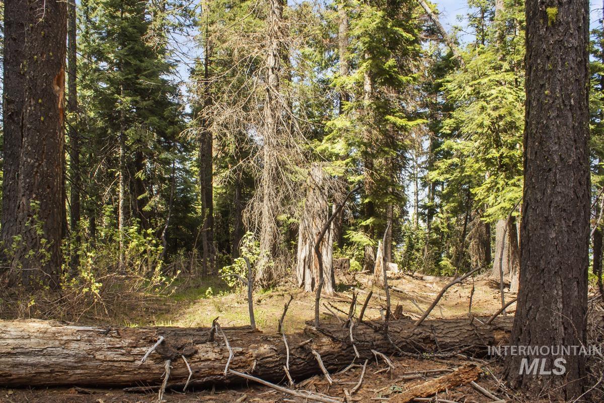 80 Arling Trail, Donnelly, Idaho 83615, Land For Sale, Price $150,000,MLS 98948258