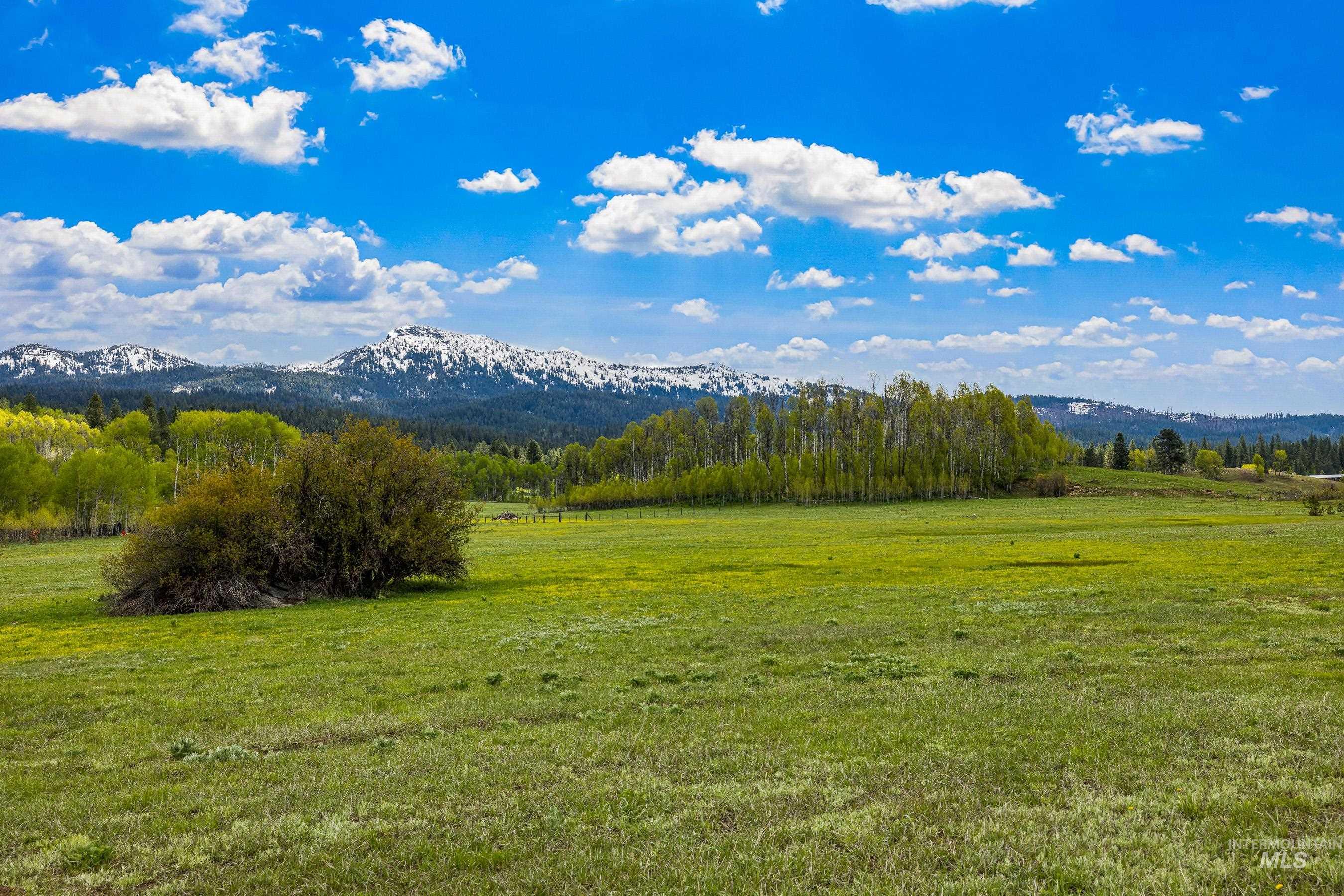 TBD Shaw Rd, McCall, Idaho 83638, Land For Sale, Price $499,999,MLS 98948288