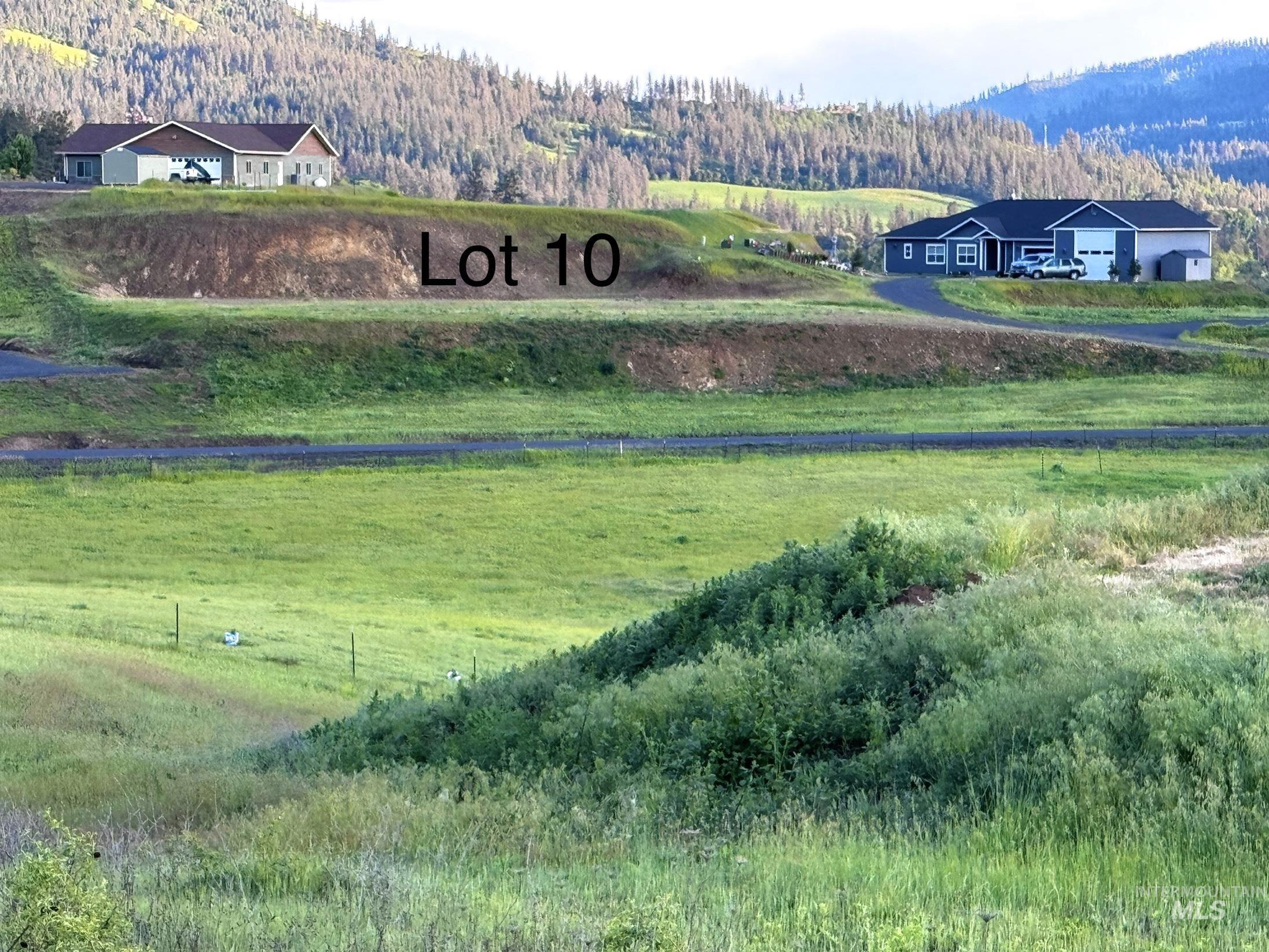 Lot 10 River View Drive, Kamiah, Idaho 83536, Land For Sale, Price $119,900,MLS 98948304