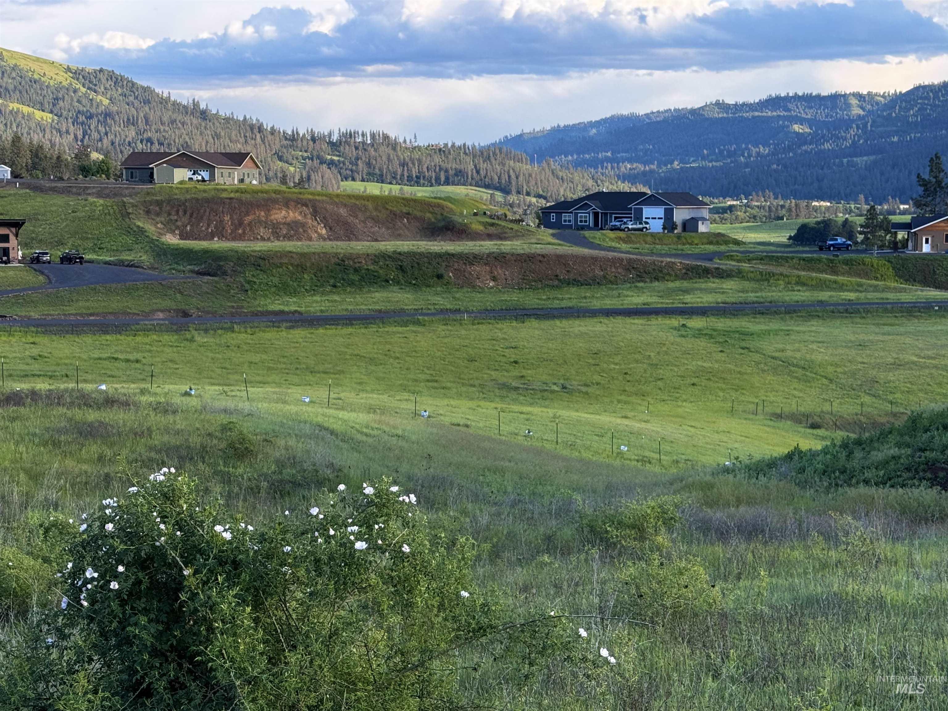 Lot 10 River View Drive, Kamiah, Idaho 83536, Land For Sale, Price $119,900,MLS 98948304