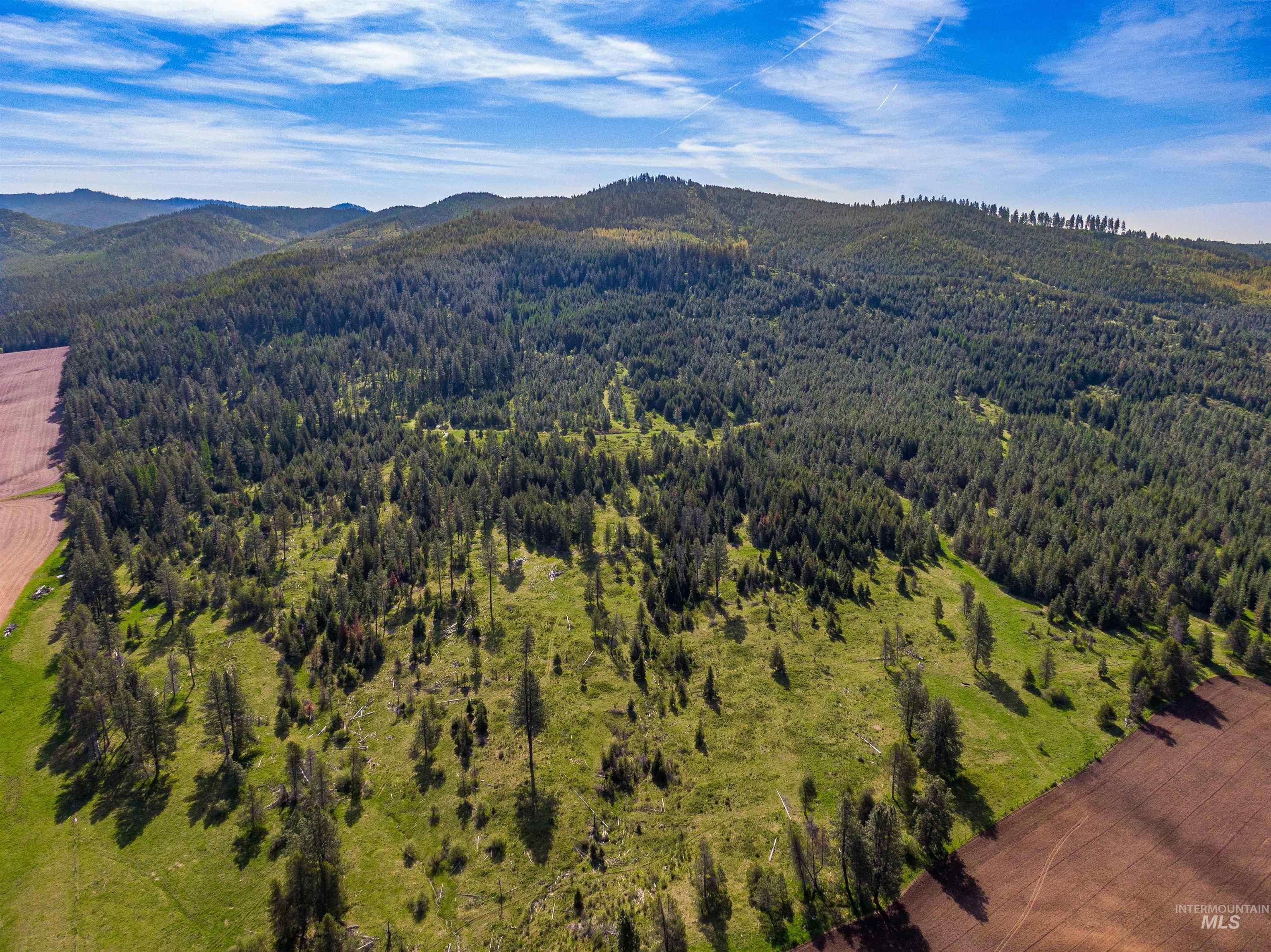 1101 Ruby Creek Rd, Harvard, Idaho 83834, 4 Bedrooms, 2 Bathrooms, Farm & Ranch For Sale, Price $3,995,000, 98948330