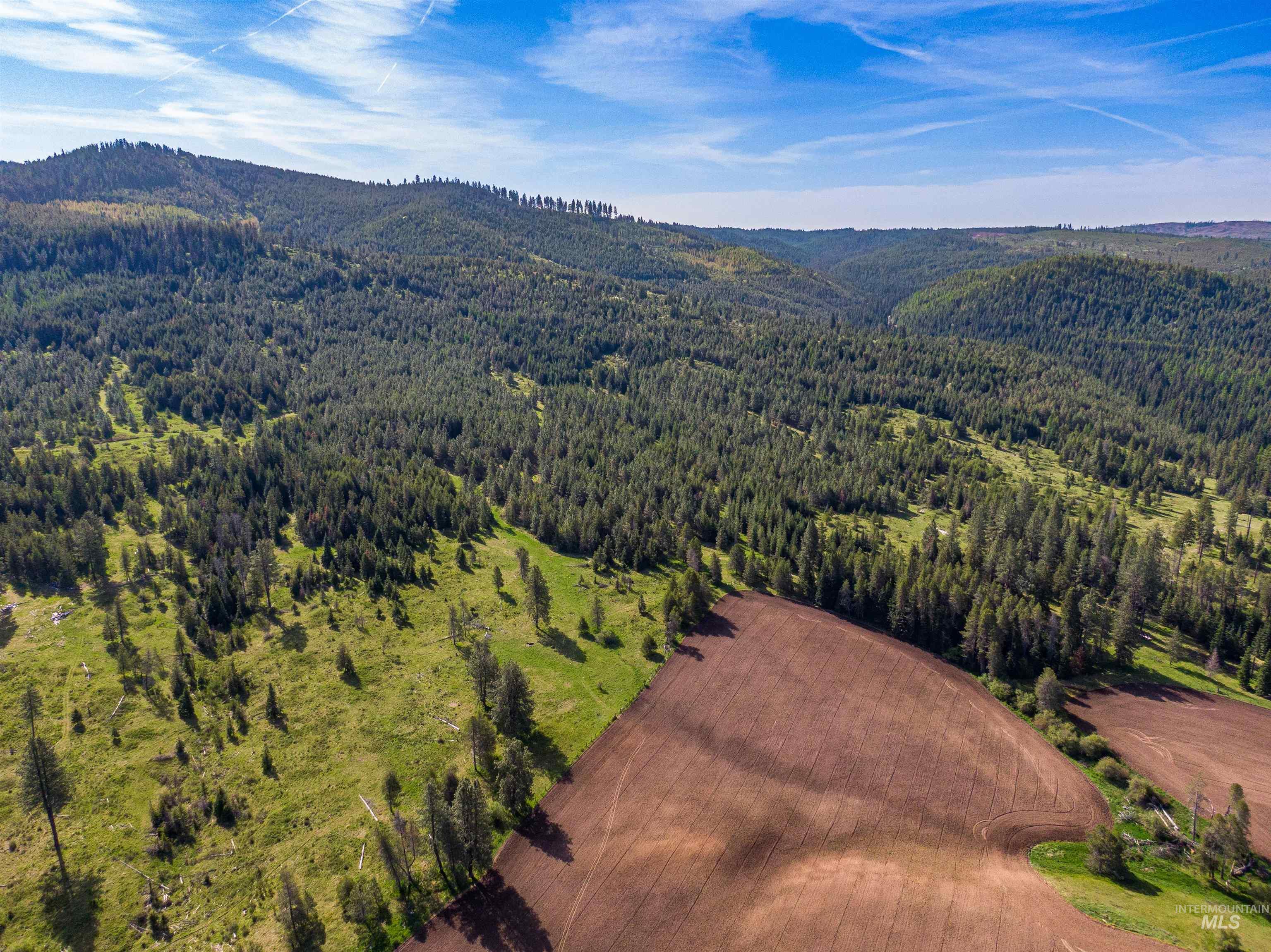 1101 Ruby Creek Rd, Harvard, Idaho 83834, 4 Bedrooms, 2 Bathrooms, Farm & Ranch For Sale, Price $3,995,000, 98948330