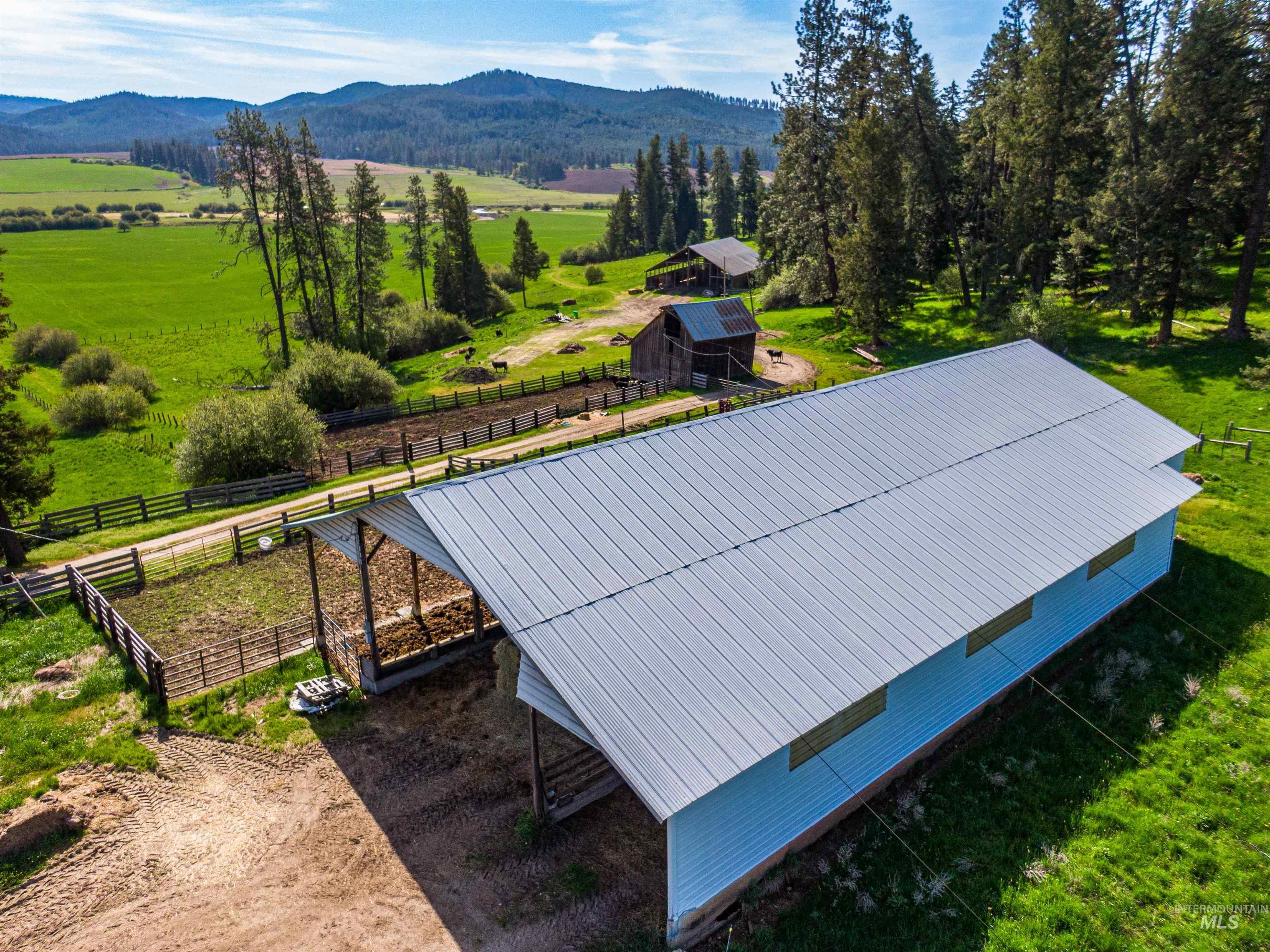 1101 Ruby Creek Rd, Harvard, Idaho 83834, 4 Bedrooms, 2 Bathrooms, Farm & Ranch For Sale, Price $3,995,000, 98948330