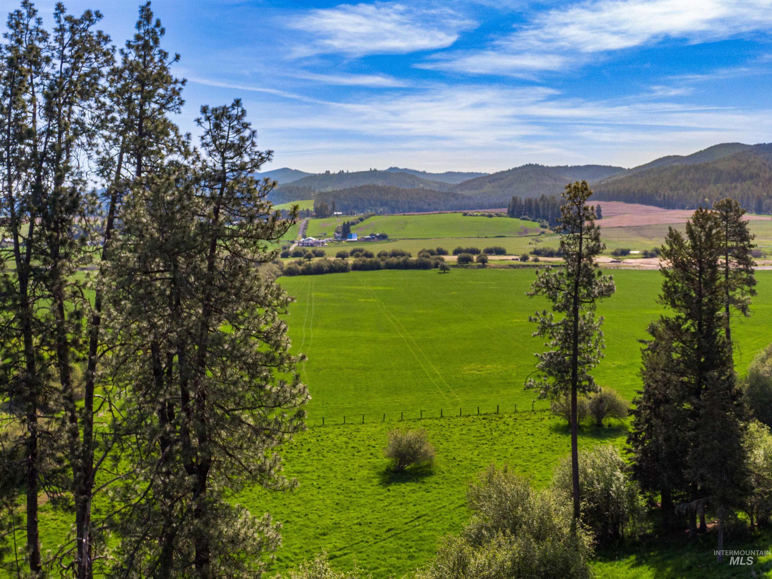 1101 Ruby Creek Rd, Harvard, Idaho 83834, 4 Bedrooms, 2 Bathrooms, Farm & Ranch For Sale, Price $3,995,000, 98948330