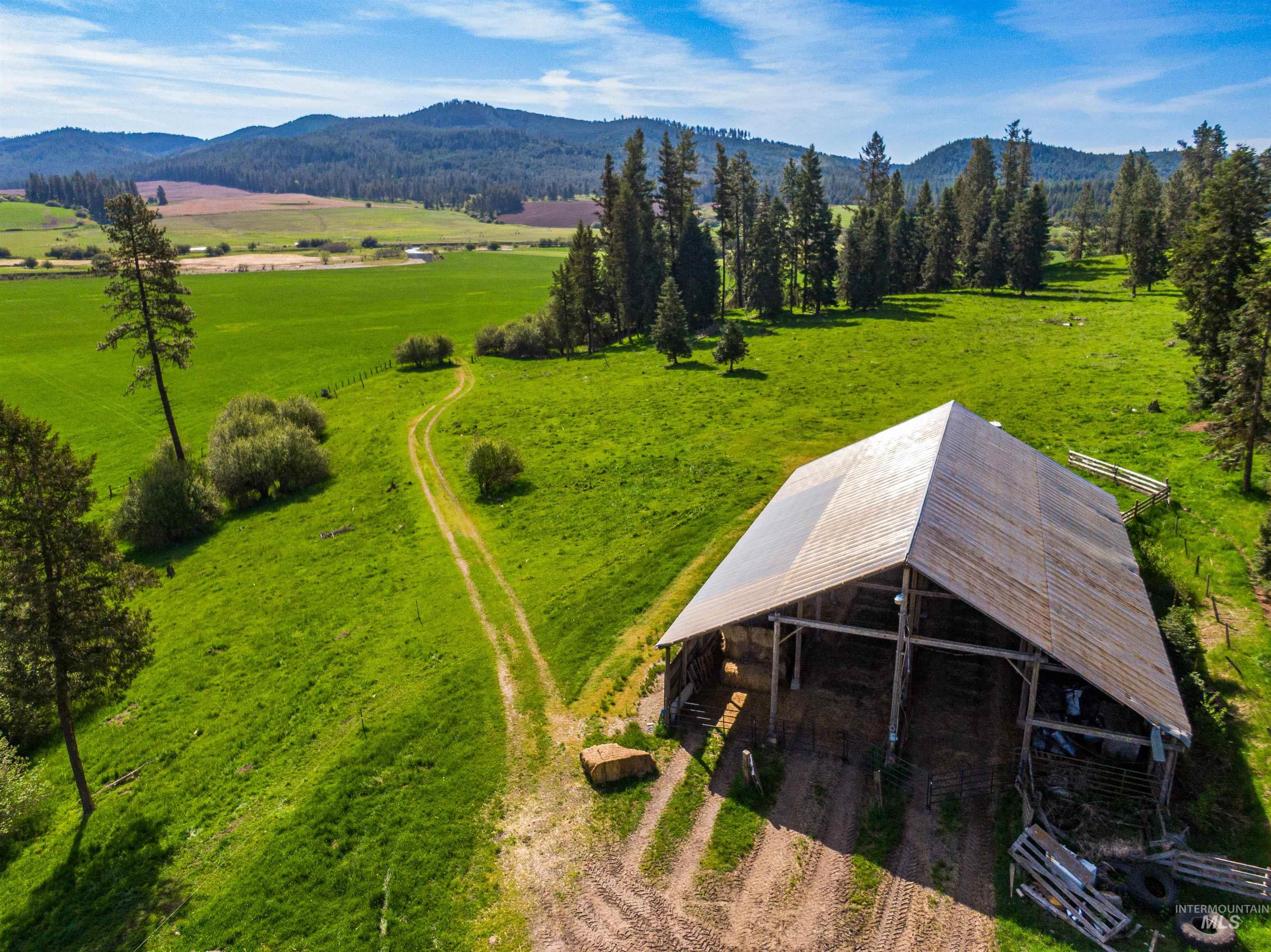 1101 Ruby Creek Rd, Harvard, Idaho 83834, 4 Bedrooms, 2 Bathrooms, Farm & Ranch For Sale, Price $3,995,000, 98948330