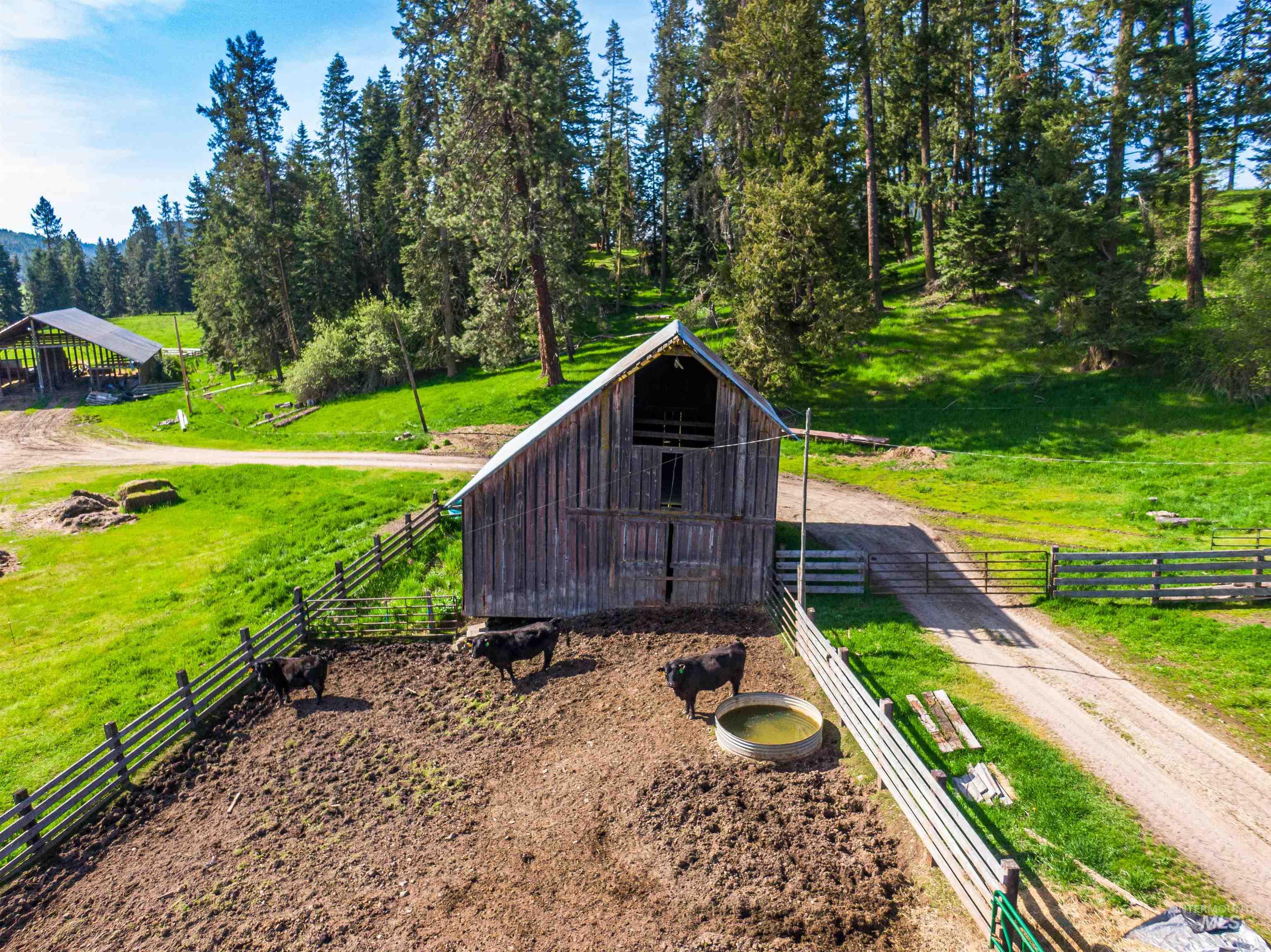 1101 Ruby Creek Rd, Harvard, Idaho 83834, 4 Bedrooms, 2 Bathrooms, Farm & Ranch For Sale, Price $3,995,000, 98948330