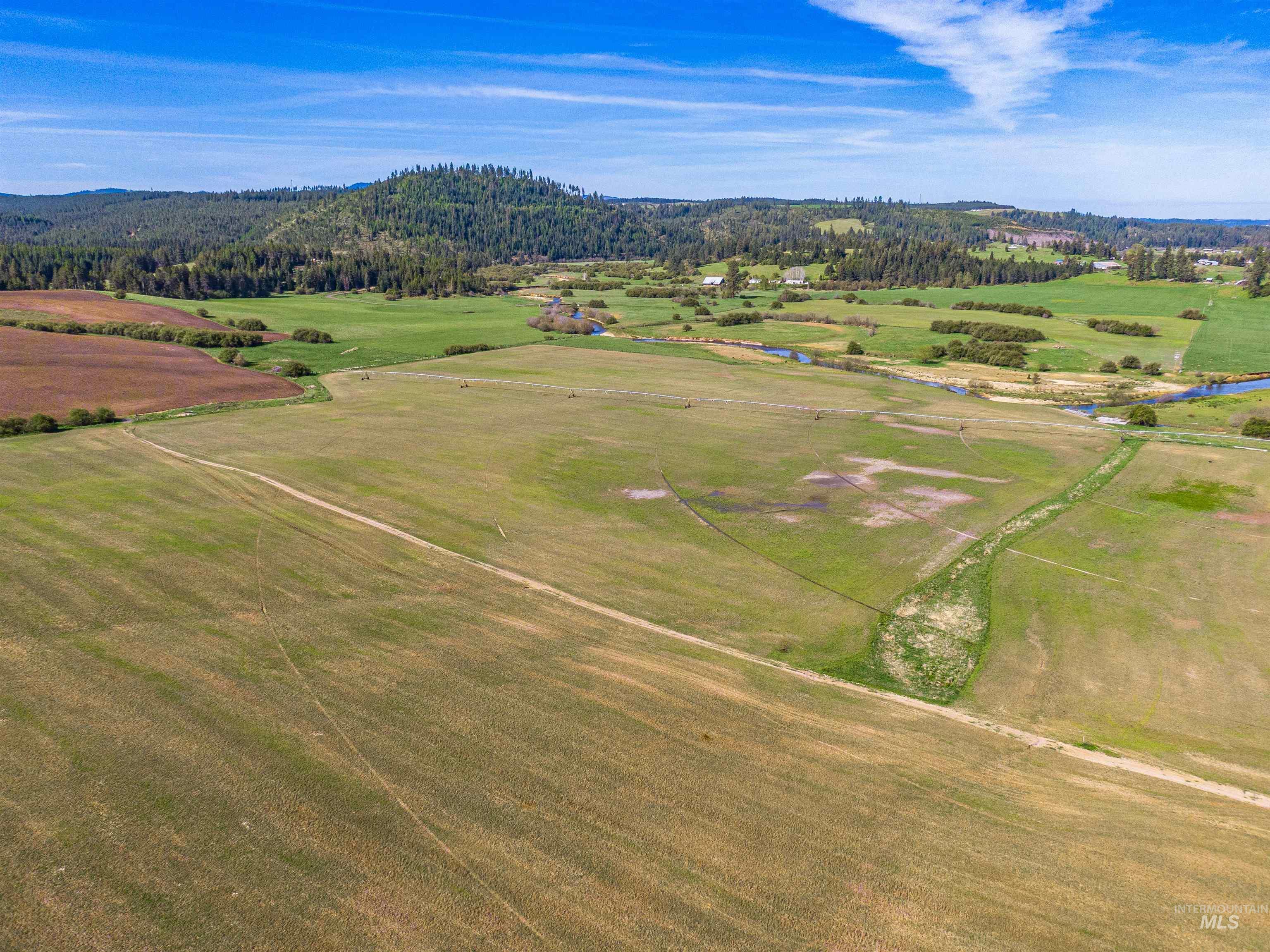 1101 Ruby Creek Rd, Harvard, Idaho 83834, 4 Bedrooms, 2 Bathrooms, Farm & Ranch For Sale, Price $3,995,000, 98948330
