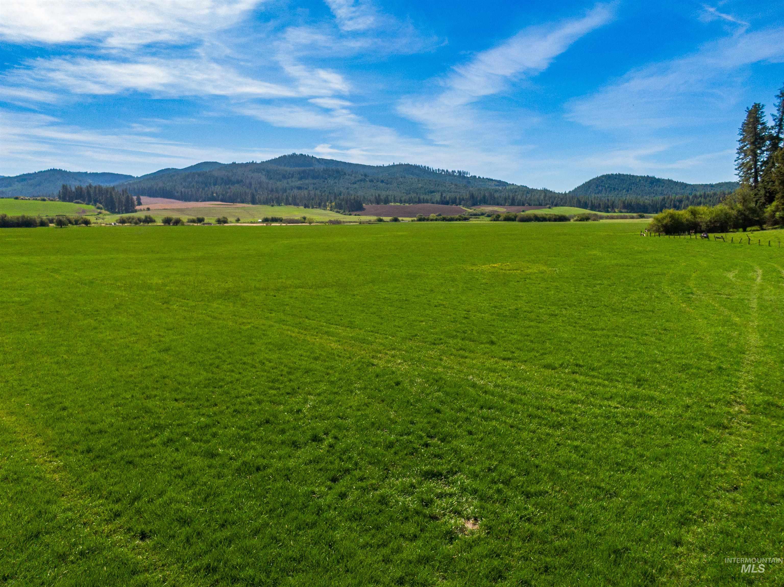 1101 Ruby Creek Rd, Harvard, Idaho 83834, 4 Bedrooms, 2 Bathrooms, Farm & Ranch For Sale, Price $3,995,000, 98948330