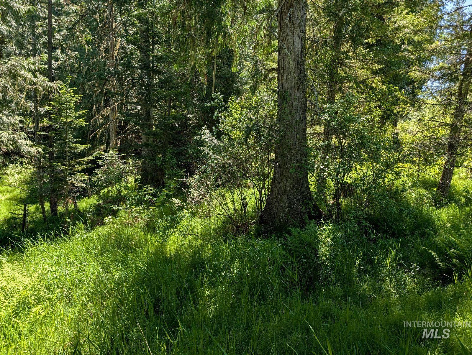 Parcel C Corner Stone Road, Kamiah, Idaho 83536, Land For Sale, Price $148,000,MLS 98948352