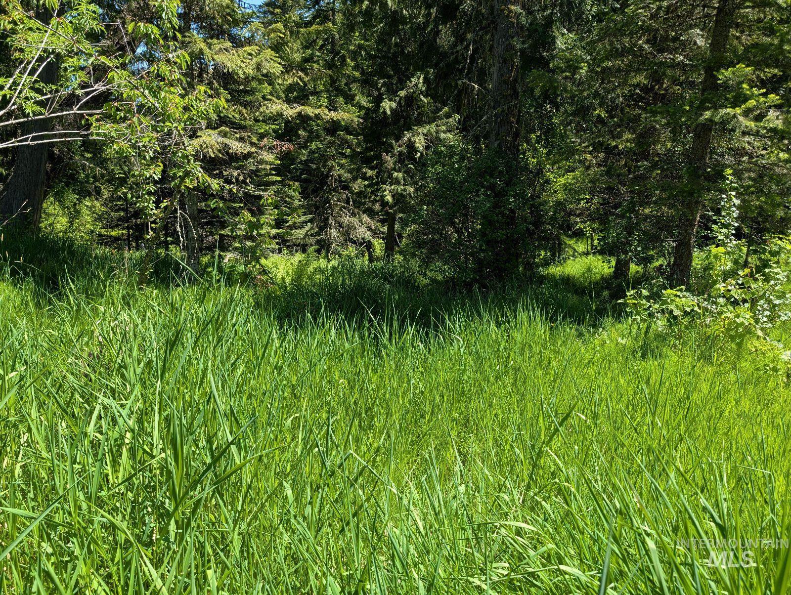 Parcel C Corner Stone Road, Kamiah, Idaho 83536, Land For Sale, Price $148,000,MLS 98948352