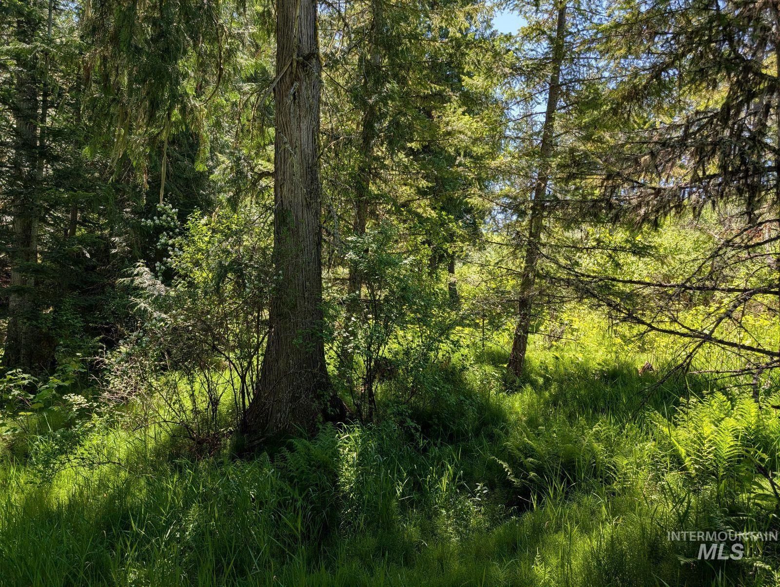 Parcel C Corner Stone Road, Kamiah, Idaho 83536, Land For Sale, Price $148,000,MLS 98948352