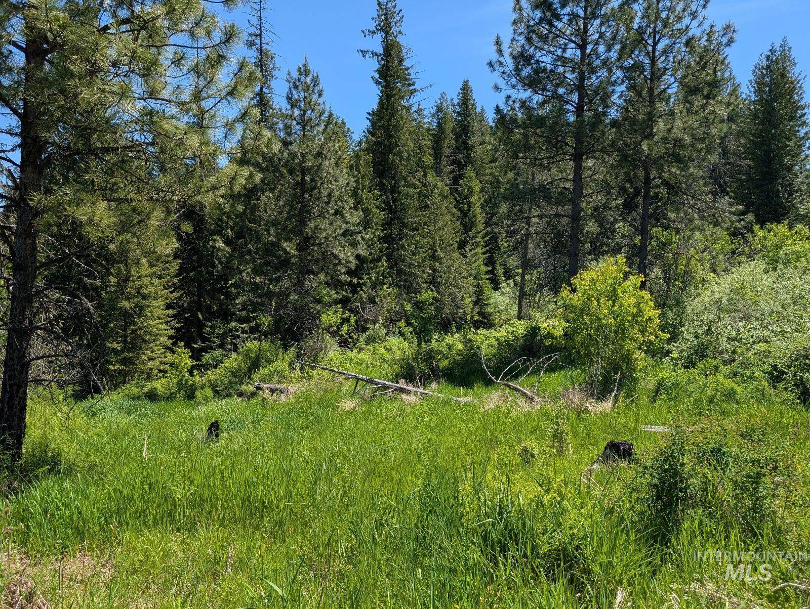 Parcel C Corner Stone Road, Kamiah, Idaho 83536, Land For Sale, Price $148,000,MLS 98948352