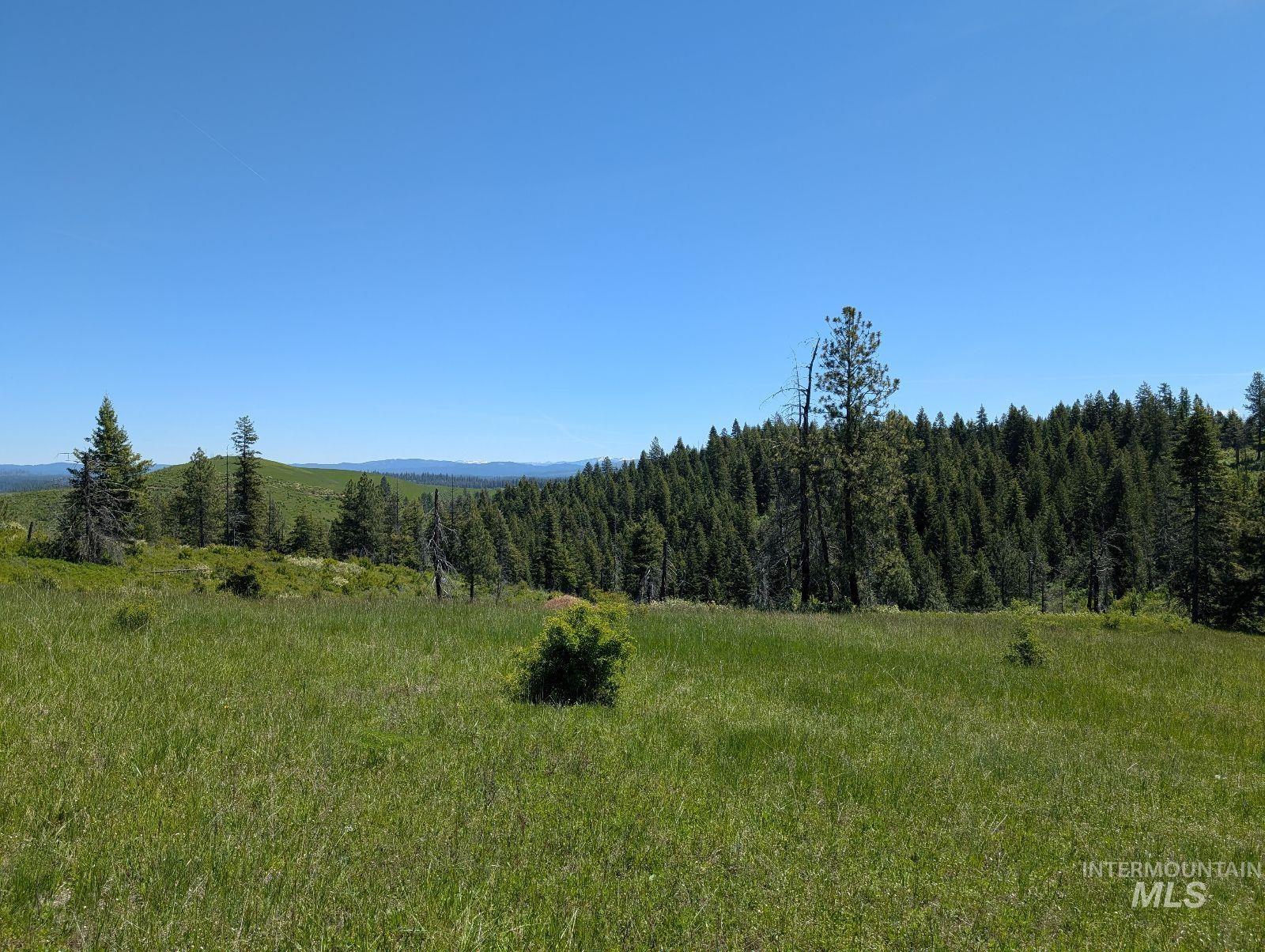 Parcel C Corner Stone Road, Kamiah, Idaho 83536, Land For Sale, Price $148,000,MLS 98948352