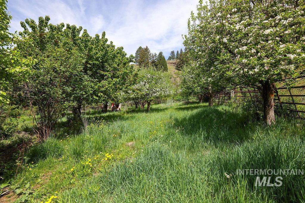 559 Kessler Creek Rd, Riggins, Idaho 83549, 2 Bedrooms, 1 Bathroom, Farm & Ranch For Sale, Price $1,200,000, 98948431