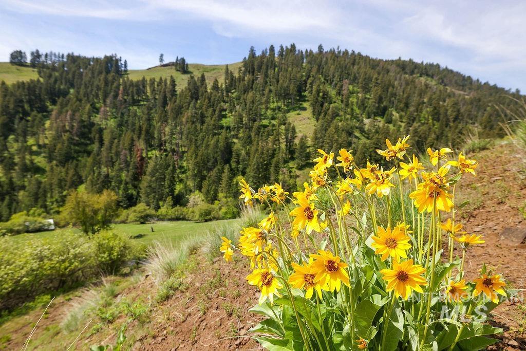 559 Kessler Creek Rd, Riggins, Idaho 83549, 2 Bedrooms, 1 Bathroom, Farm & Ranch For Sale, Price $1,200,000, 98948431