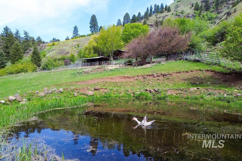 559 Kessler Creek Rd, Riggins, Idaho 83549, 2 Bedrooms, 1 Bathroom, Farm & Ranch For Sale, Price $1,200,000, 98948431