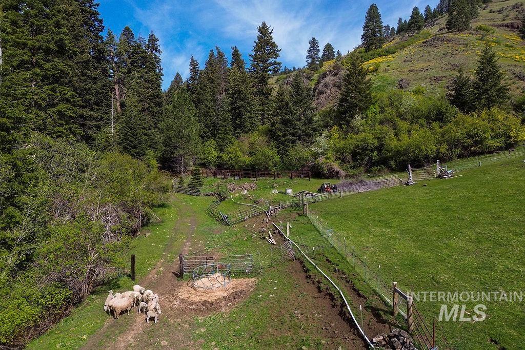 559 Kessler Creek Rd, Riggins, Idaho 83549, 2 Bedrooms, 1 Bathroom, Farm & Ranch For Sale, Price $1,200,000, 98948431