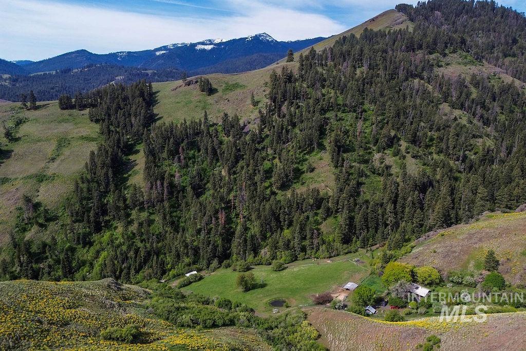 559 Kessler Creek Rd, Riggins, Idaho 83549, 2 Bedrooms, 1 Bathroom, Farm & Ranch For Sale, Price $1,200,000, 98948431