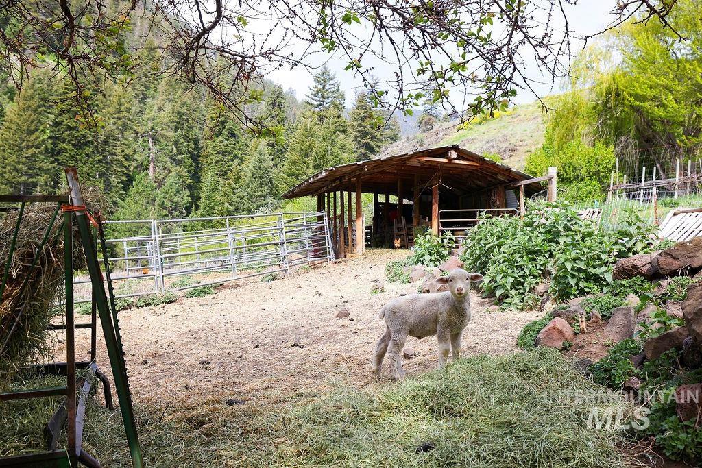 559 Kessler Creek Rd, Riggins, Idaho 83549, 2 Bedrooms, 1 Bathroom, Farm & Ranch For Sale, Price $1,200,000, 98948431