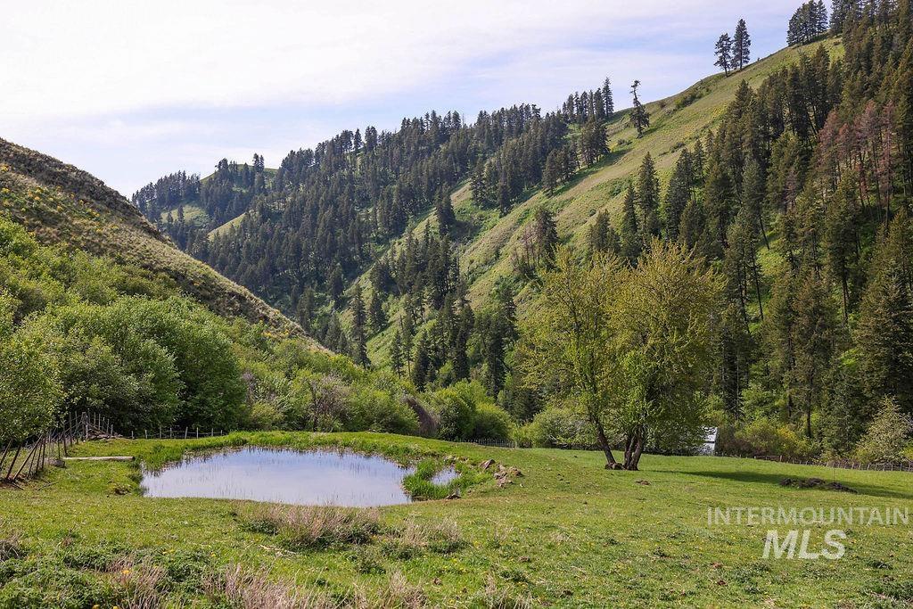 559 Kessler Creek Rd, Riggins, Idaho 83549, 2 Bedrooms, 1 Bathroom, Farm & Ranch For Sale, Price $1,200,000, 98948431