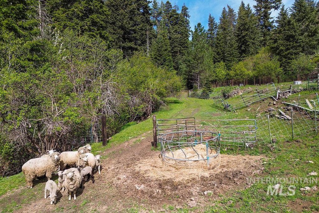 559 Kessler Creek Rd, Riggins, Idaho 83549, 2 Bedrooms, 1 Bathroom, Farm & Ranch For Sale, Price $1,200,000, 98948431