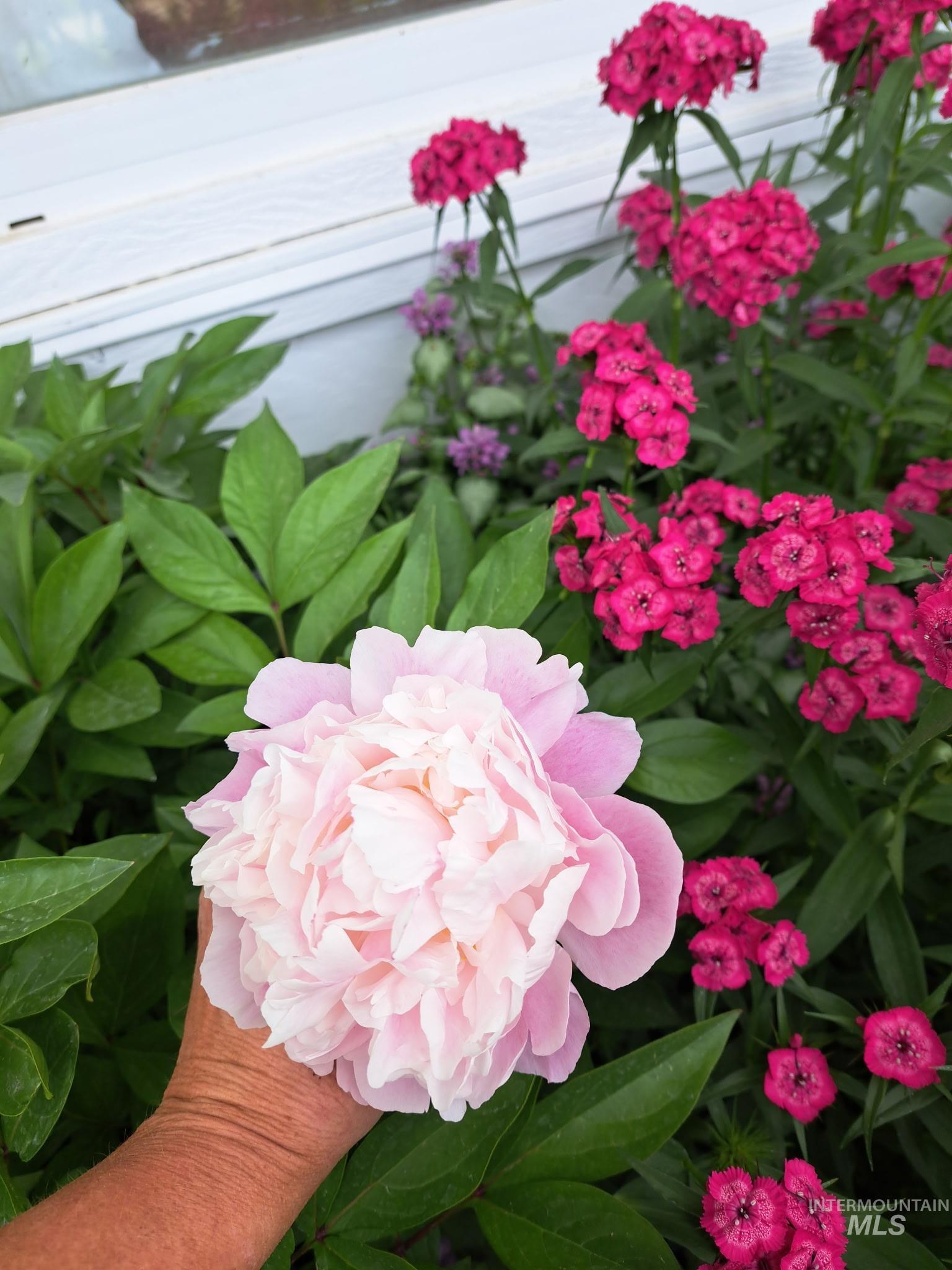 207 N Main St, Homedale, Idaho 83628, 3 Bedrooms, 1 Bathroom, Residential For Sale, Price $289,000, 98948496