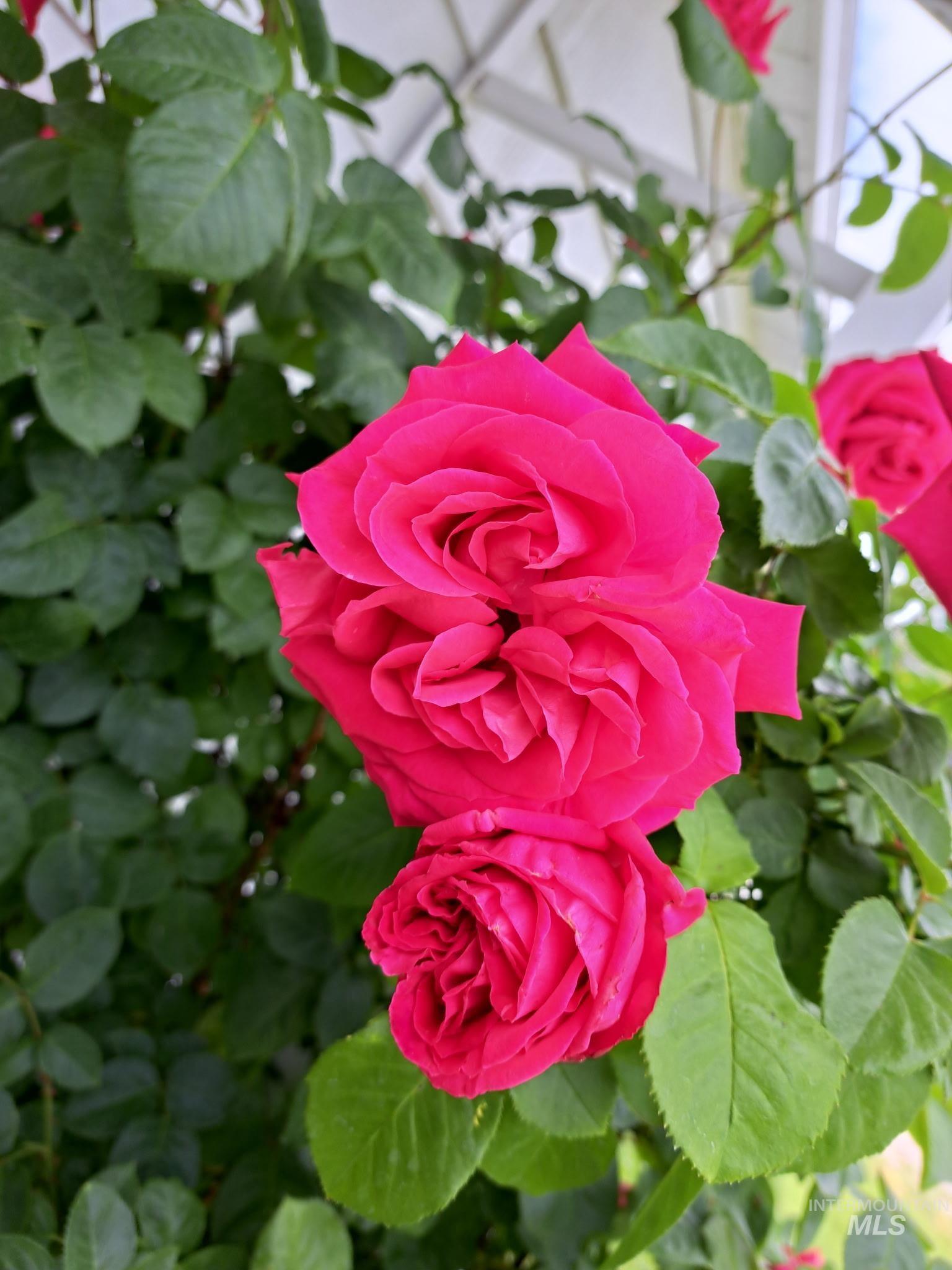 207 N Main St, Homedale, Idaho 83628, 3 Bedrooms, 1 Bathroom, Residential For Sale, Price $289,000, 98948496