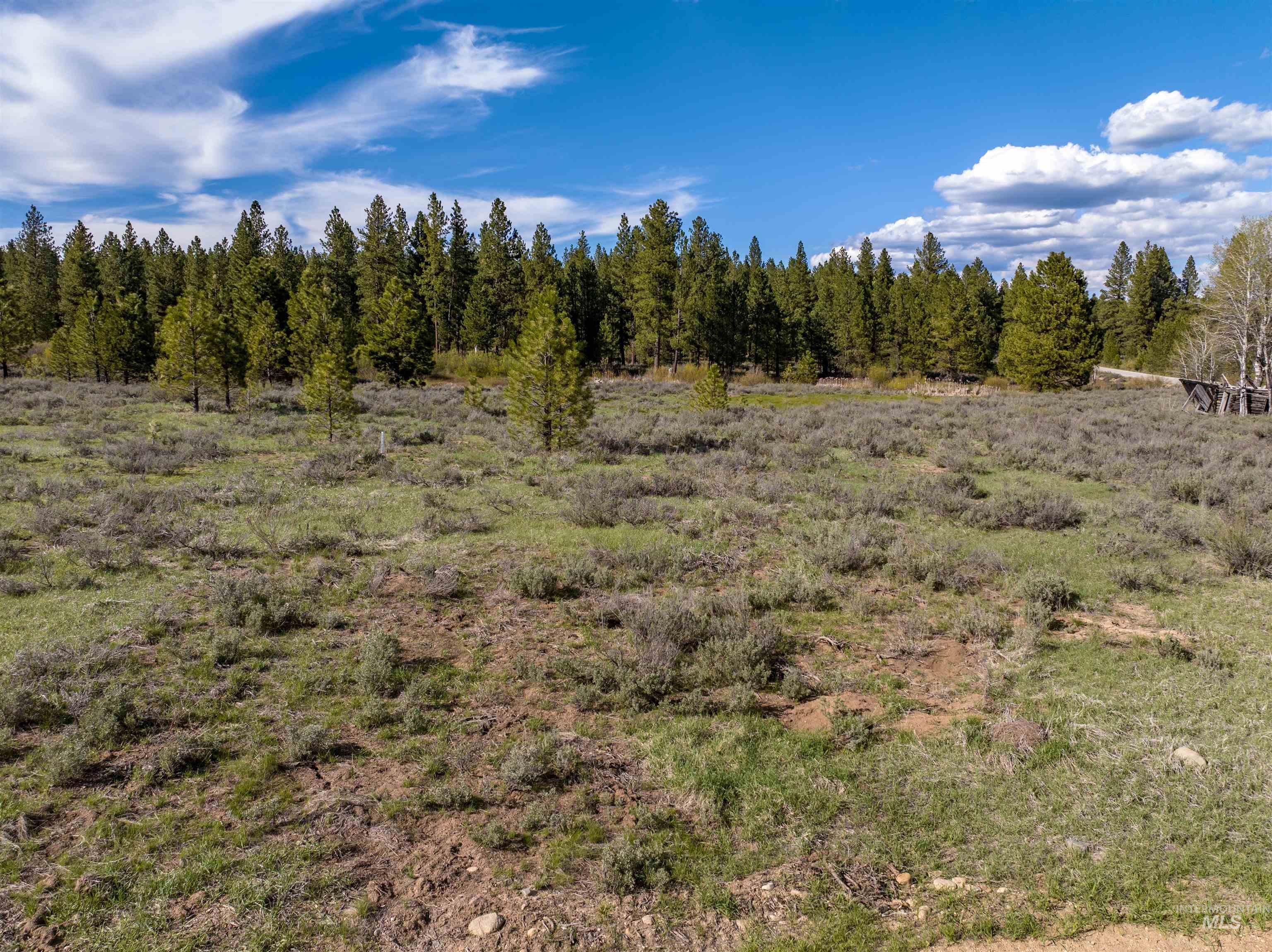 Lot 24 Trail Creek Ct, Placerville, Idaho 83666, Land For Sale, Price $195,000, 98948515