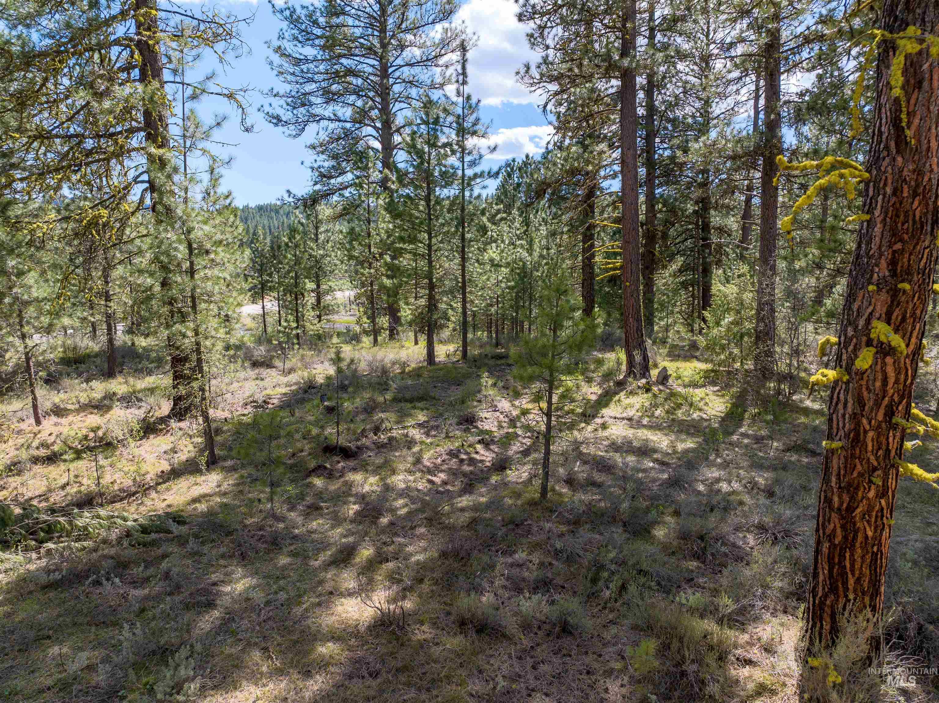 Lot 2 Star Creek Ct, Placerville, Idaho 83666, Land For Sale, Price $250,000, 98948523