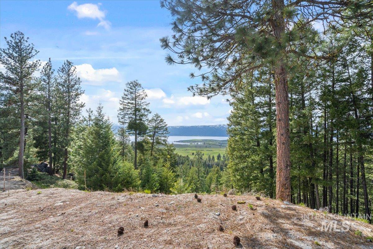 67 Little Donner Drive, Cascade, Idaho 83611, Residential For Sale, Price $1,795,000, 98948533
